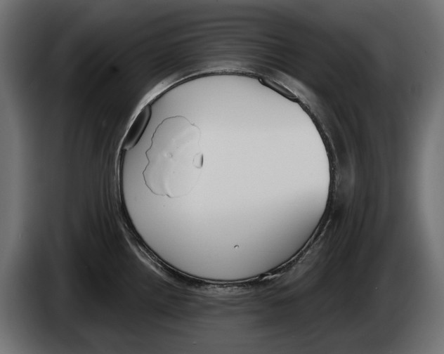 X0000083071242200703022149