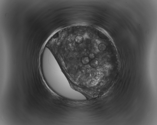 X0000083071243200703022149