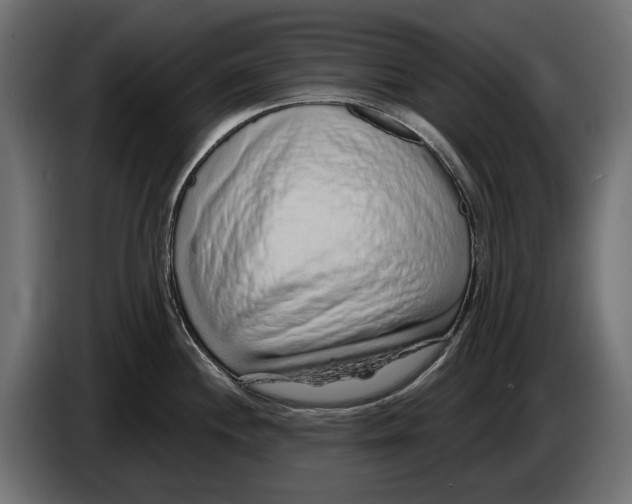 X0000083071244200703022149