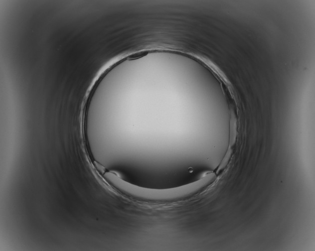 X0000083071246200703022149