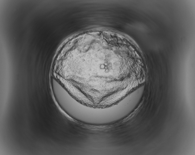 X0000083071247200703022149