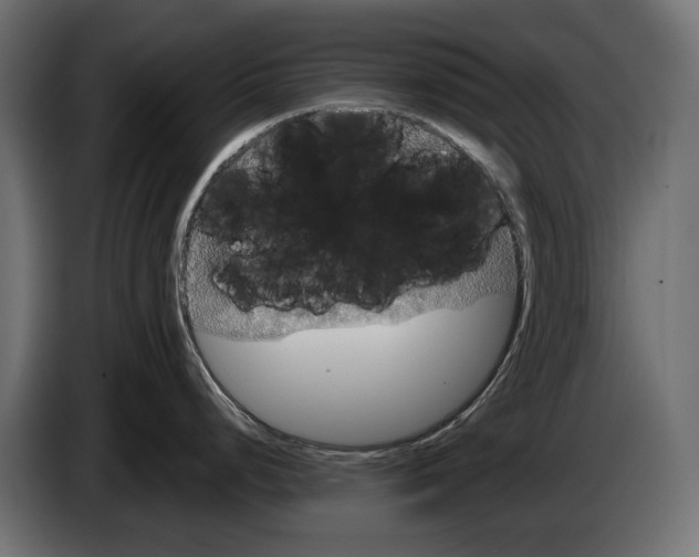 X0000083071248200703022149