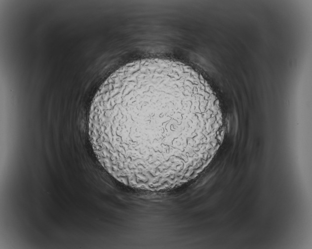X0000083071251200703022149