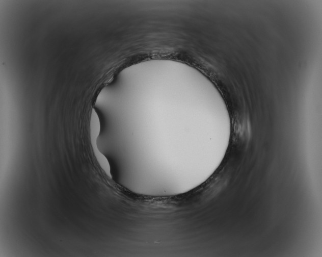 X0000083071252200703022149
