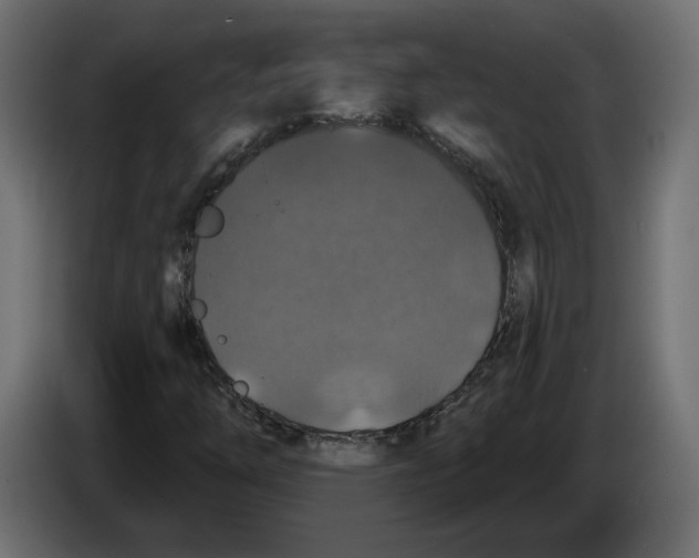 X0000083071254200703022149