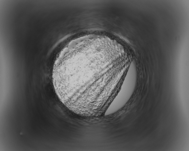 X0000083071255200703022149