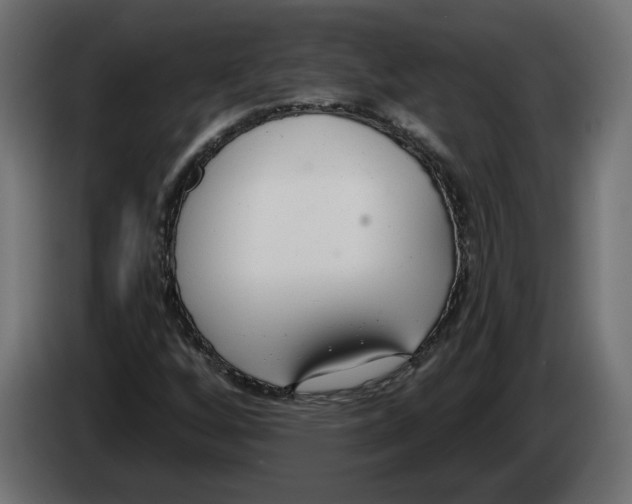 X0000083071256200703022149