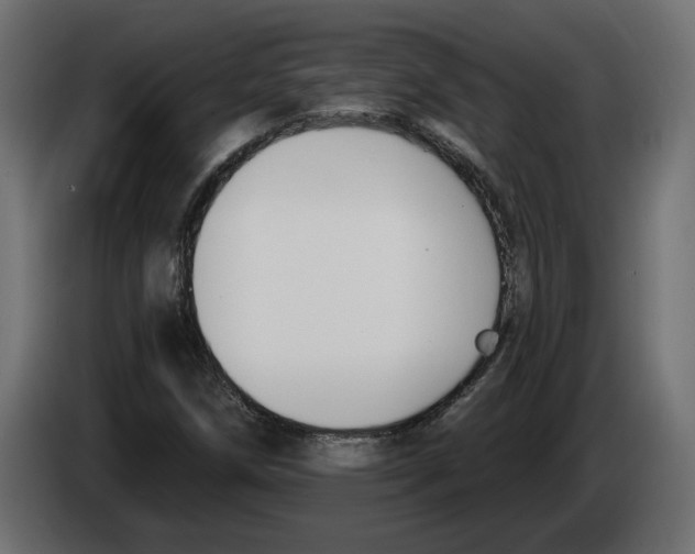X0000083071258200703022149