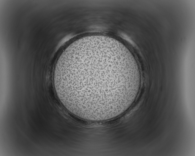 X0000083071259200703022149