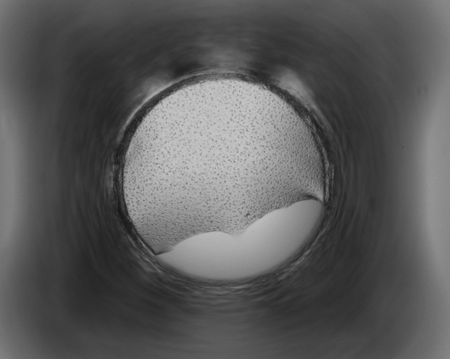 X0000083071260200703022149