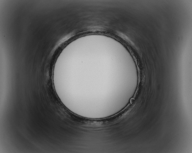 X0000083071261200703022149