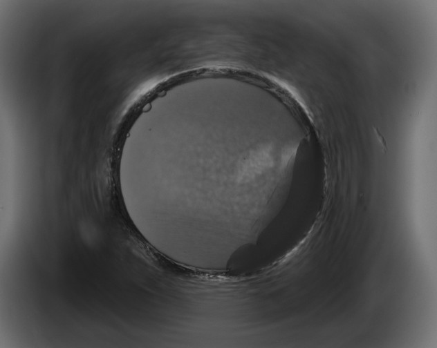 X0000083071263200703022149