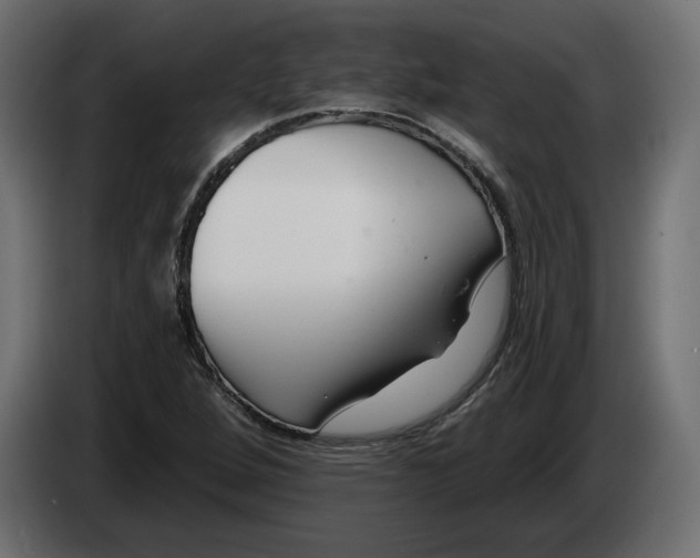 X0000083071264200703022149