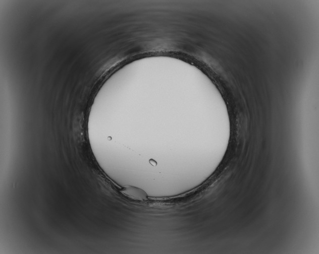 X0000083071265200703022148