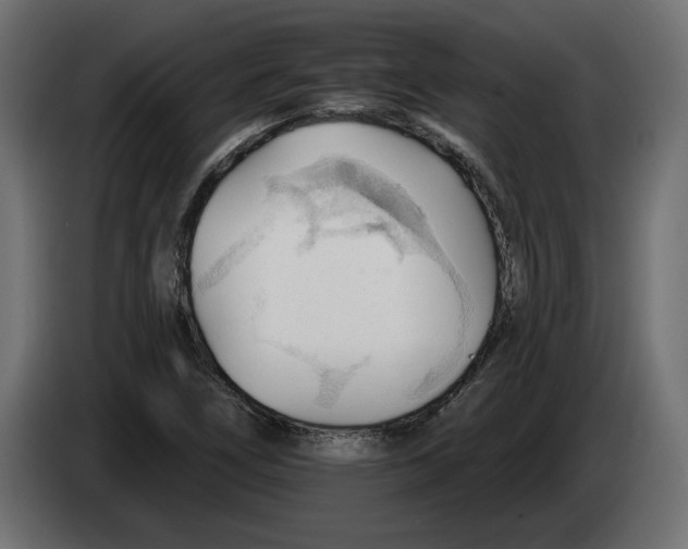 X0000083071266200703022148