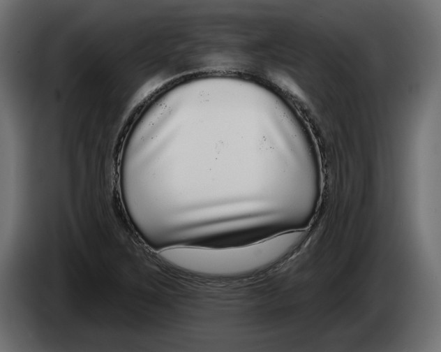 X0000083071267200703022148