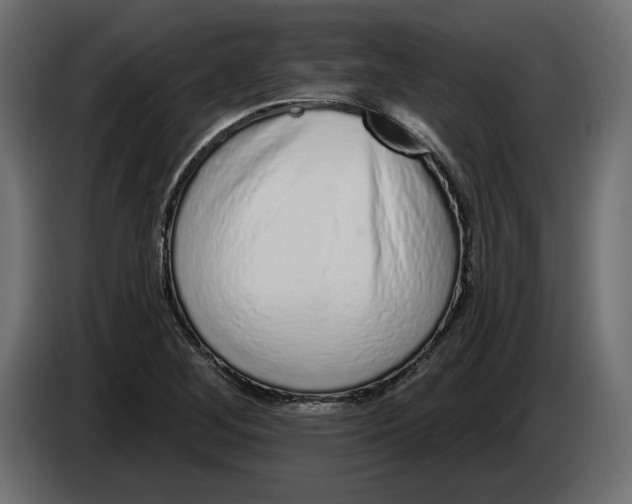 X0000083071268200703022148