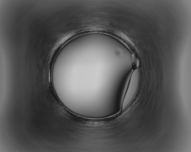 X0000083071269200703022148