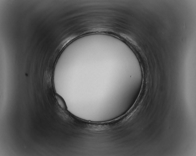 X0000083071273200703022148