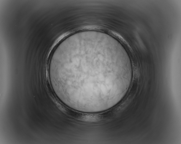 X0000083071274200703022148