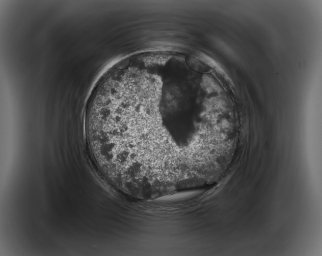 X0000083071275200703022148