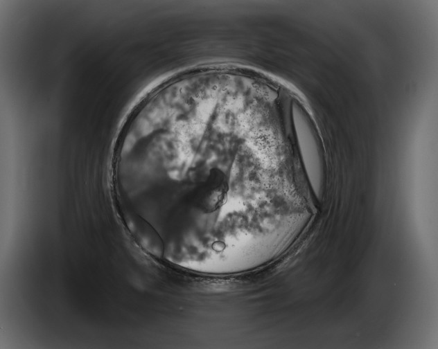 X0000083071279200703022148