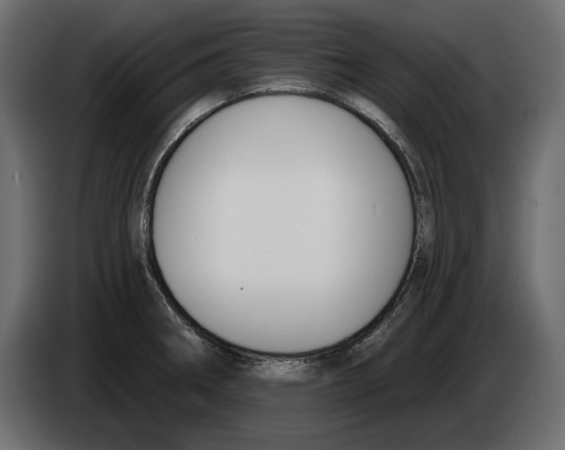 X0000083071282200703022148