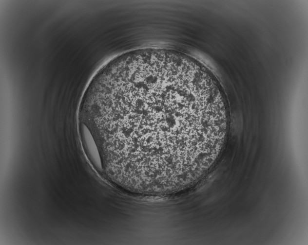 X0000083071283200703022148