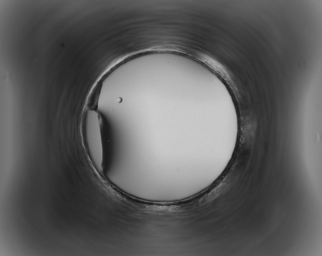 X0000083071284200703022148