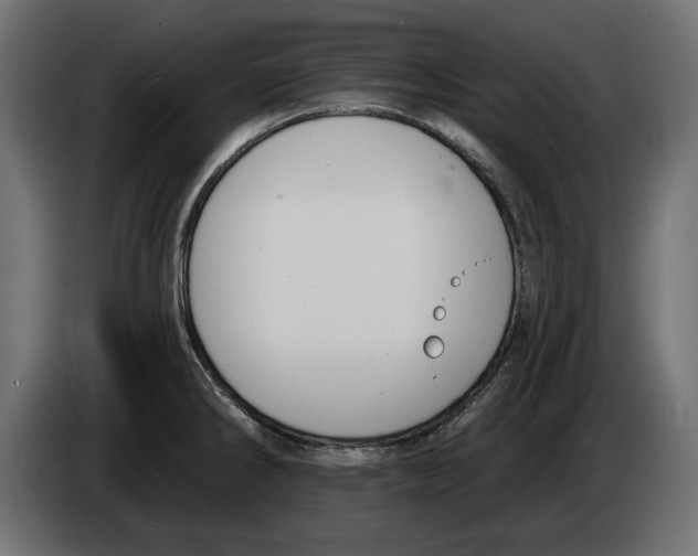 X0000083071286200703022148