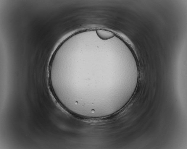 X0000083071287200703022148