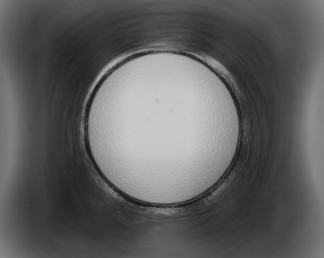 X0000083071288200703022148
