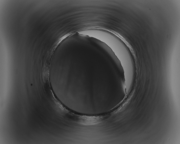 X0000083071289200703022148