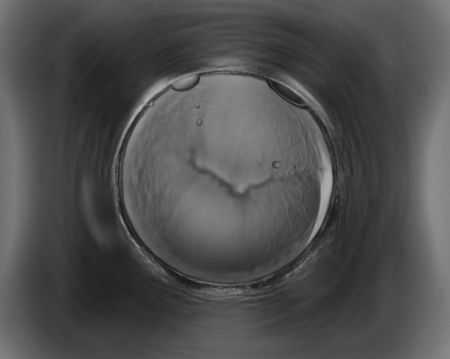 X0000083071291200703022148
