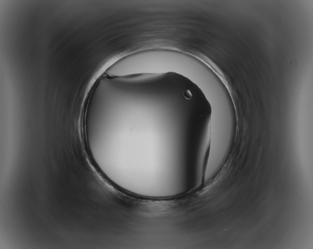 X0000083071293200703022148