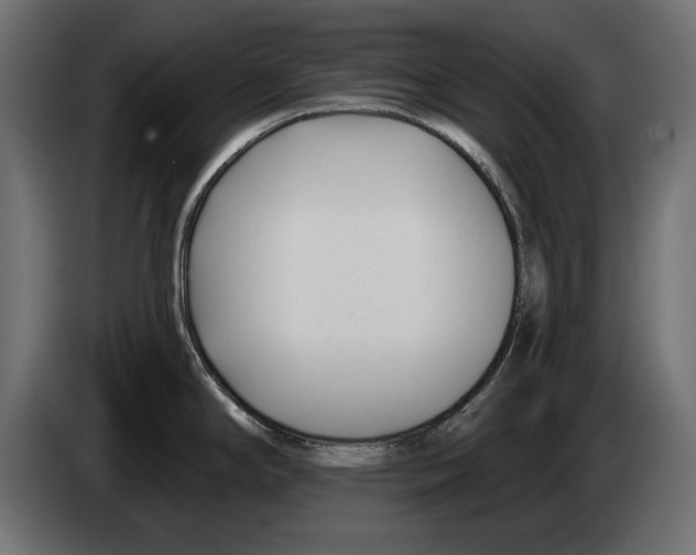 X0000083071294200703022148