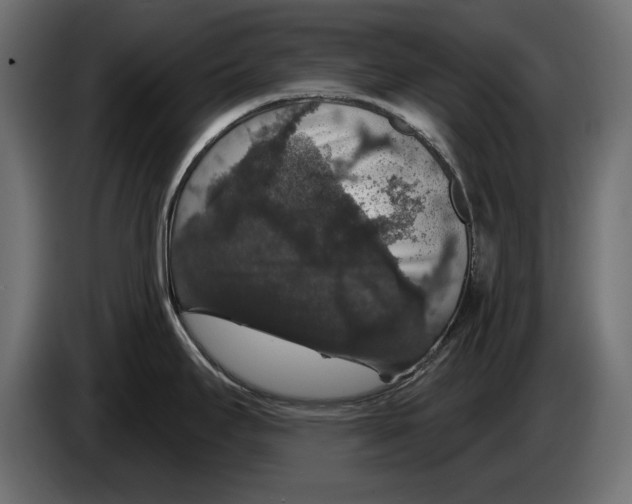 X0000083071295200703022148
