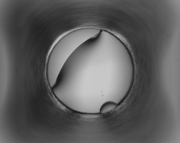 X0000083071296200703022148