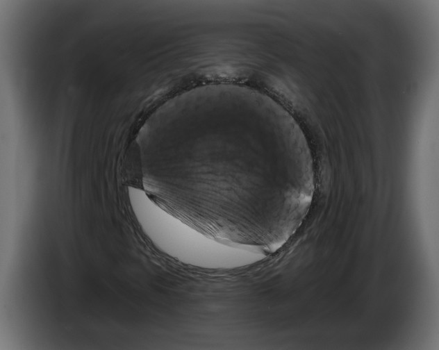 X0000083071297200703022147