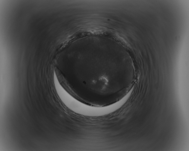 X0000083071298200703022147