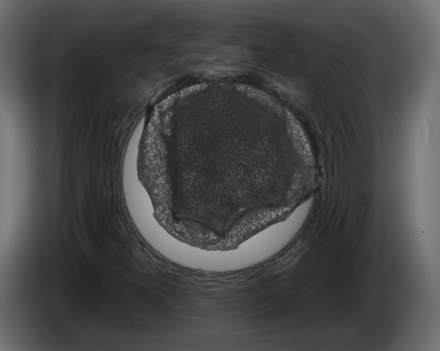 X0000083071300200703022147