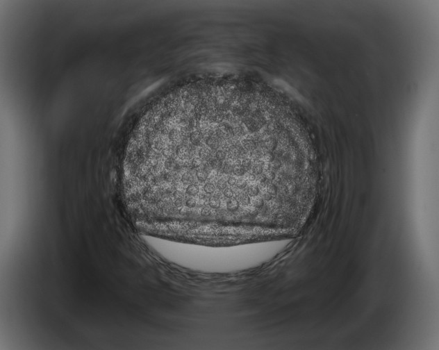 X0000083071302200703022147