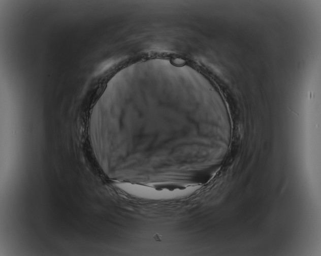X0000083071303200703022147