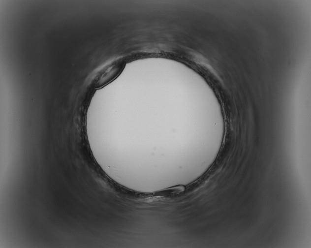 X0000083071304200703022147