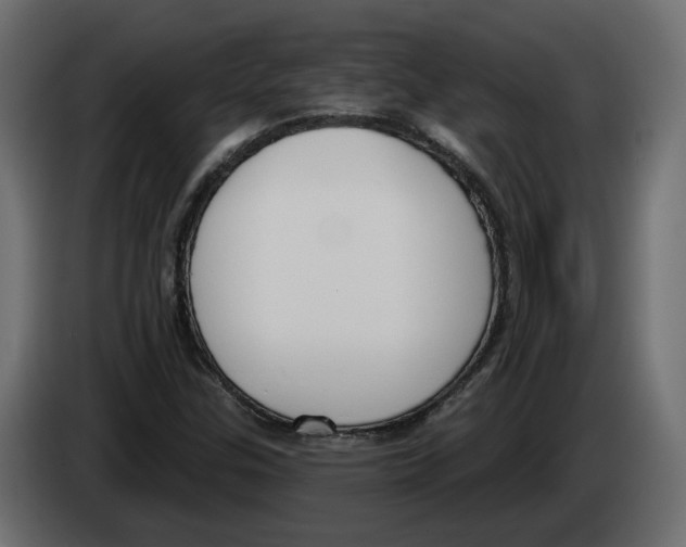 X0000083071307200703022148