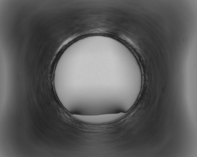 X0000083071308200703022148