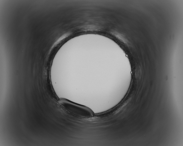 X0000083071309200703022148