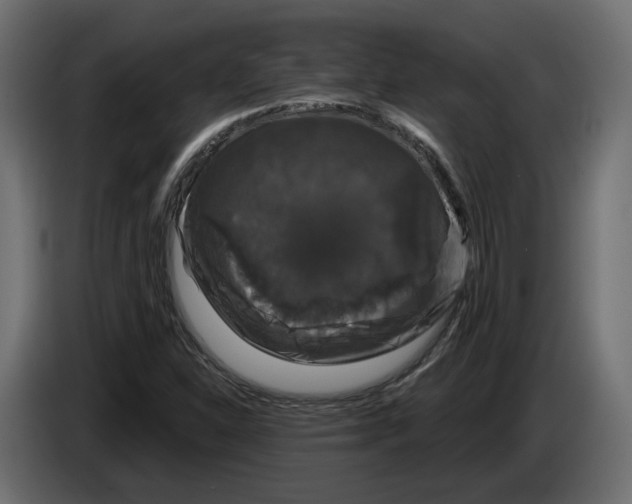 X0000083071310200703022148