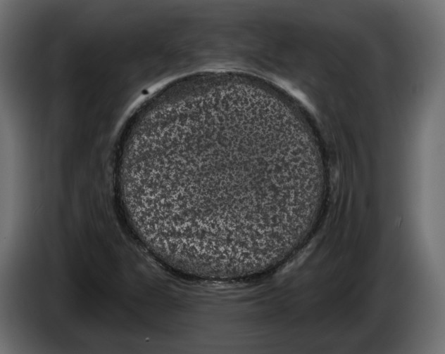 X0000083071311200703022148