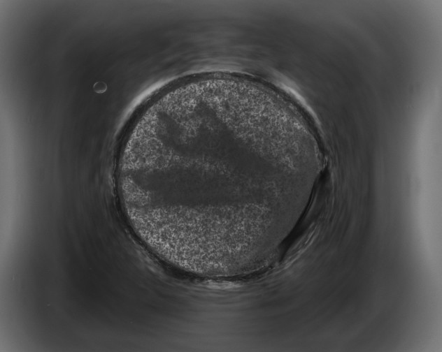 X0000083071312200703022148